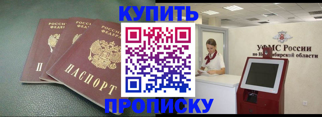 прописка поиск в Светогорске